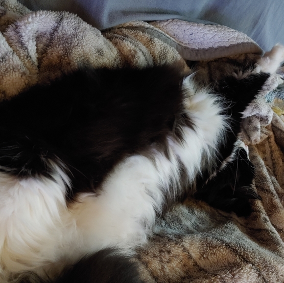 Lazy TV day๐๐บ ๐ - Picture 12 of 16